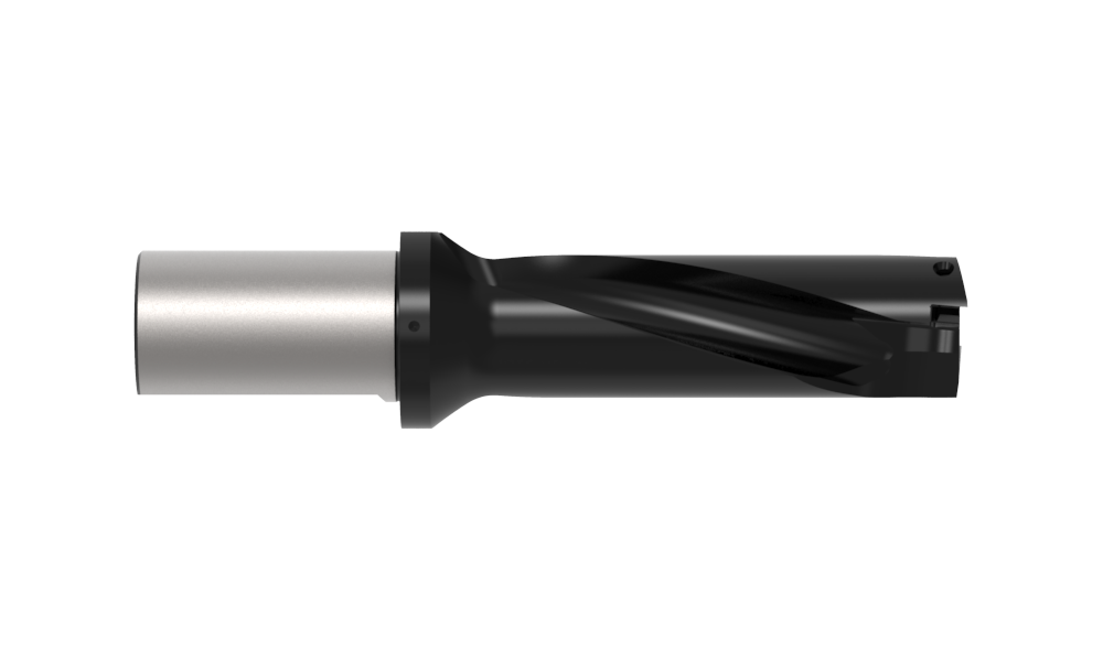Bottom
